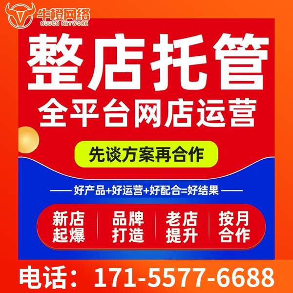 五常电商代运营